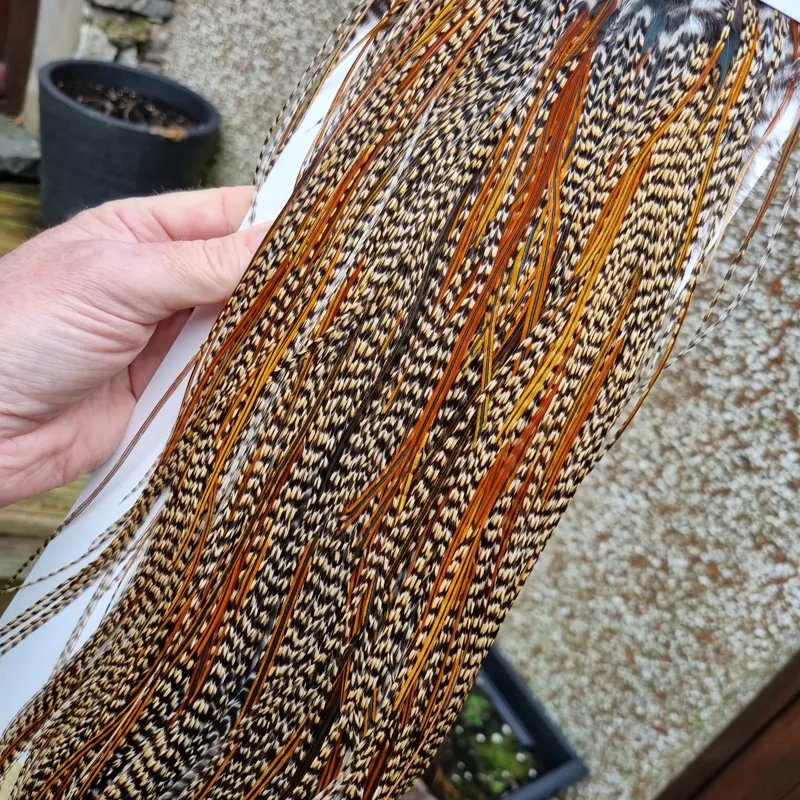 フライマテリアル ハックルWhiting Rooster Saddle Cree Whiting Farms Rooster Saddle - Pro Grade | Yellow Dog Flyfishing